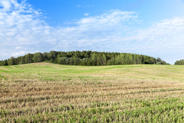 Field of the harvest