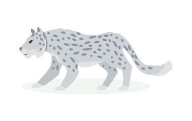 Snow Leopard Cartoon Flat  Vector Illustration 