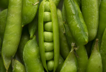 Peas pods