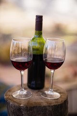 Wine bottle and glass on wooden log