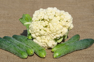 The ripe heads of cauliflower and fresh cucumbers on burlap