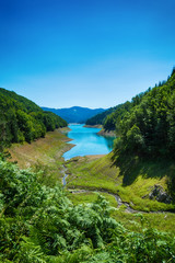 Naklejka premium Lake Zaovine in Serbia
