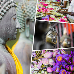 Collage of India and Sri Lanka images - travel background