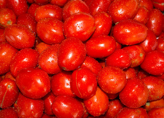 tomatoes
