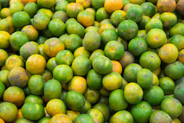 Group of green orange background.