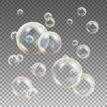 Multicolored Soap Bubbles Vector. Water And Foam Design. Rainbow Reflection Soap Bubbles. Isolated Illustration