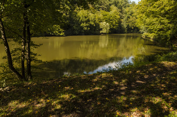 Fototapeta premium blue sky fishing lake in nature, Hungarian forest