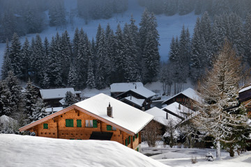 Winter Alpine landscape in the countryside