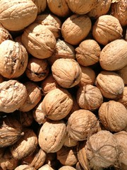 walnüsse