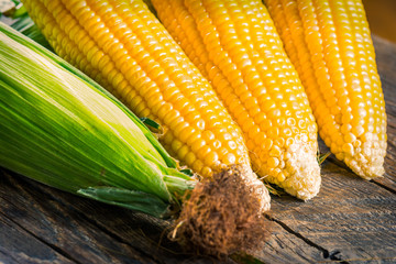 Corn cobs