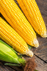 Corn cobs
