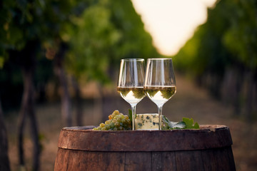 Two glasses of white wine on the old wooden barrel outdoors. Sunset in the vineyard.