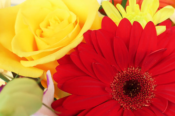 bright and colorful bouquet of flowers