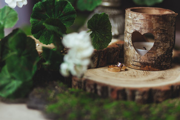 wedding rings on the stump in a green grass