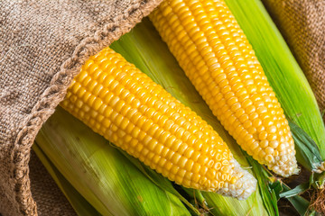 Corn cobs