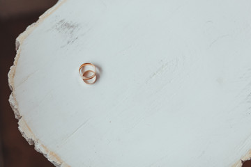 Beautiful wedding rings lie on a painted wooden stump