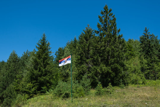 Serbian flag in nature