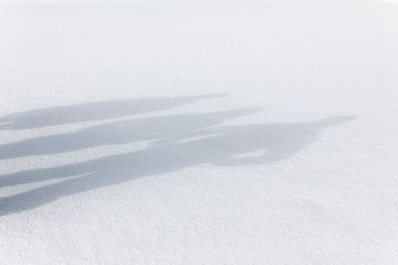 Drei Schatten im Schnee
