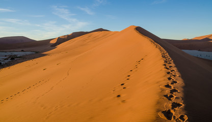 Fototapeta na wymiar Beautiful towering red sand dunes at famous Deadvlei near Sossusvlei in Namib desert, Namibia, Southern Africa