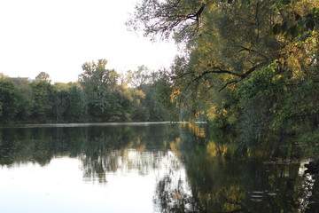River and trees