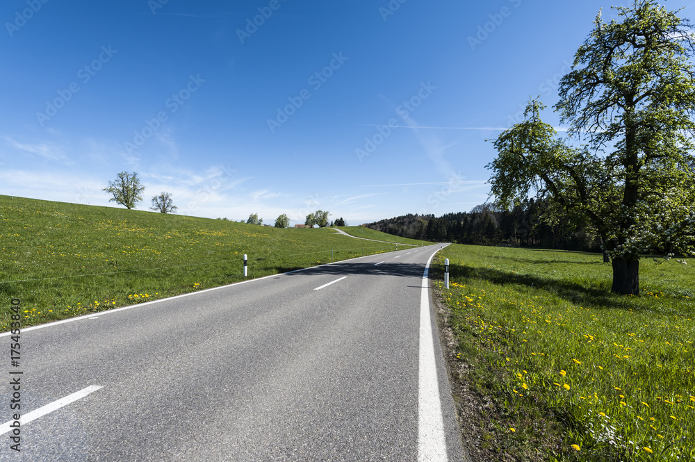 Canvas Prints Asphalt road between  meadows  in Switzerland