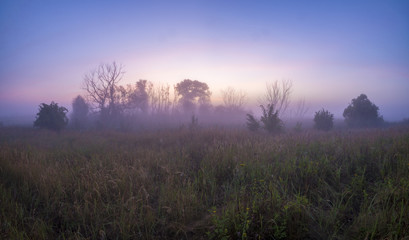 Fototapeta na wymiar misty and colorful sunrise on a wild meadow