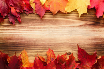 Naklejka na ściany i meble autumn leaves as background. Maple leaves on wooden background