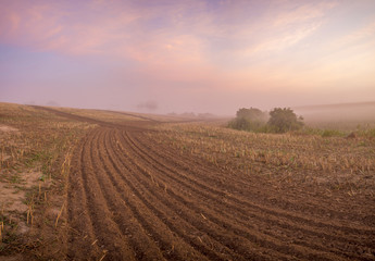 foggy and colorful sunrise on the field in summer