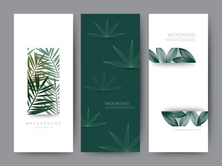 Branding Packageing Flower nature background, logo banner voucher, spring summer tropical, vector illustration