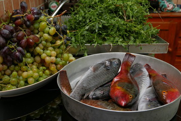 Fisch und mehr