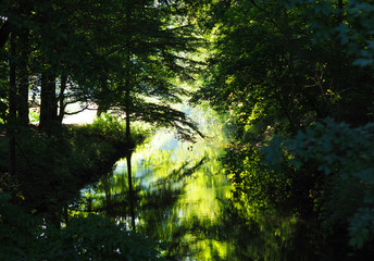 Fototapeta premium Reflections of a sunrise