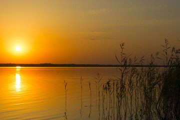 Golden sunset over water