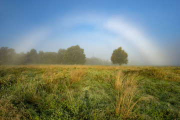 Fog bow,Rainbow fog in the meadow