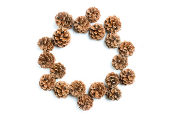 pine cones, flat lay