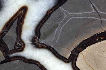 Septarian Geode