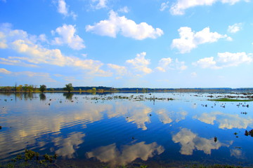 Flood in field, Nature park Lonjsko polje, Croatia, reflection of blue sky with clouds 