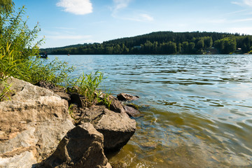 Nice lake shore with plants, trees and rocks in water