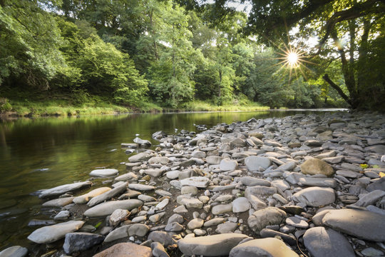 Sunbeams star over river Lune with stones foreground and green forest background England