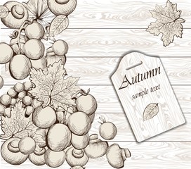 Vegetables on wood background. Vector background. Line art hand drawn graphic style illustrations