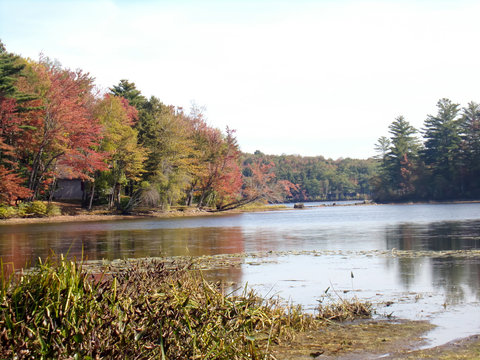 Lake in Wilton, Maine