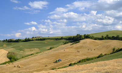 Landscape in Romagna at summer: fields