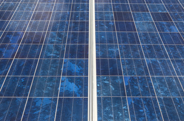 Obraz premium Close up solar panels in power station alternative renewable energy from the sun 
