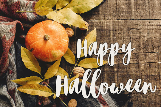 happy halloween text sign on autumn pumpkin with leaves and walnuts on stylish scarf top view, space for text. seasonal greetings, fall holidays. flat lay. harvest time. cozy mood