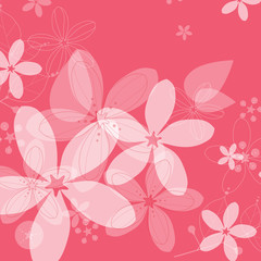 Flower pink pattetn