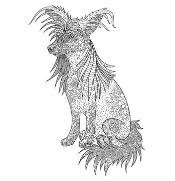 Dog doodle coloring book for adult isolated on white. Chinese Crested Dog is a symbol of year in 2018 by the zodiac animal calendar of China.