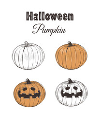 Halloween pumpkin sketch. Set of pumpkins vector illustration