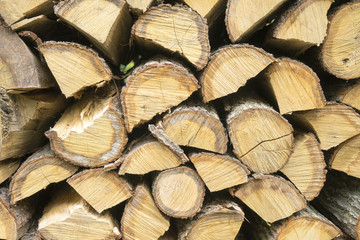 Brennholz