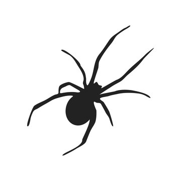 Spider Silhouette Icon Symbol Design. Vector illustration of spider isolated on white background. Halloween graphic.