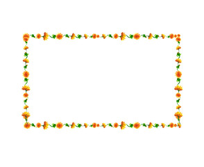 Watercolor dandelion flowers, blossoms rectangular frame isolate