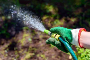 Watering garden with a hose